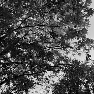 Meet your Posher, Lily